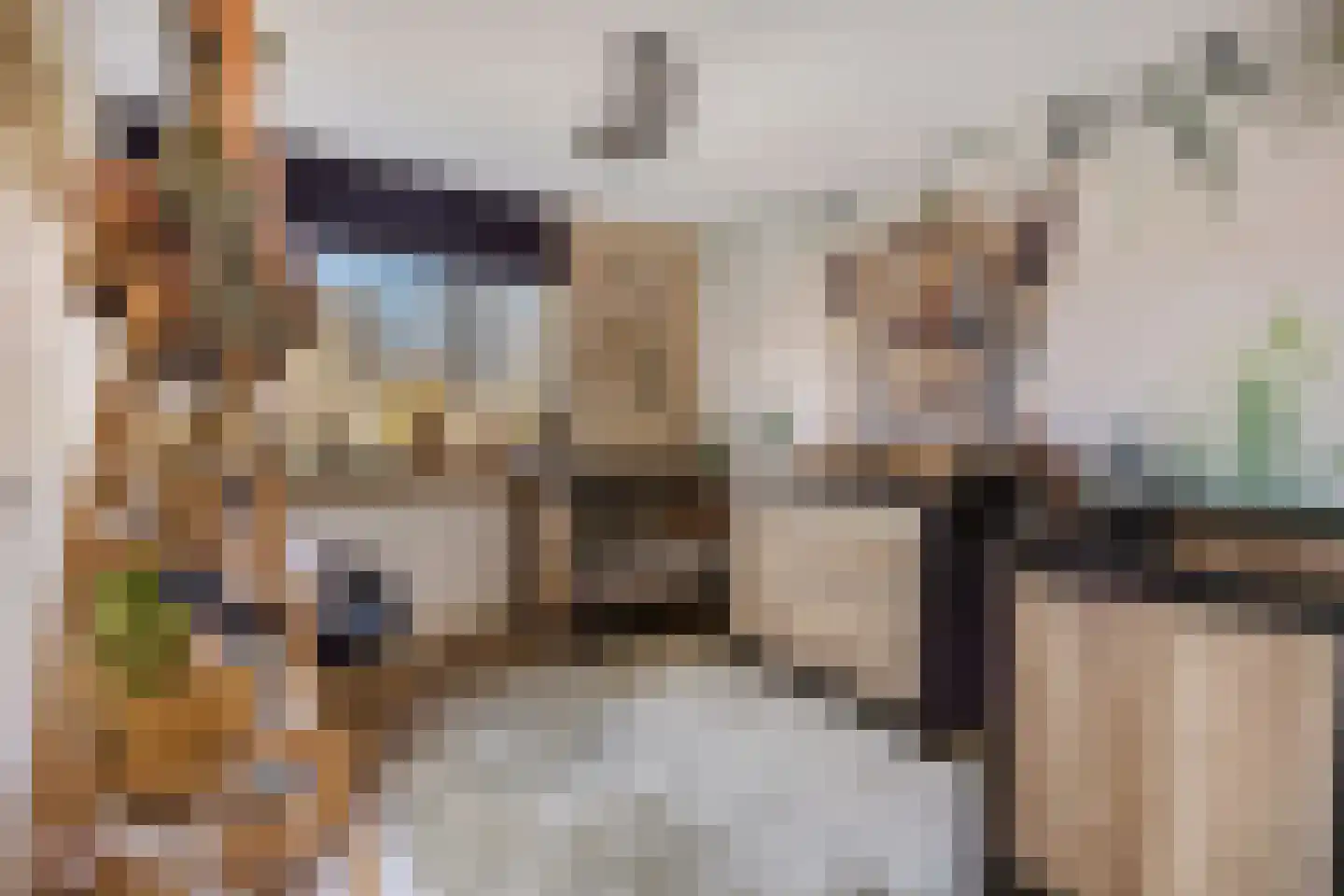 Slangenburg 91 Barneveld thumbnail 34
