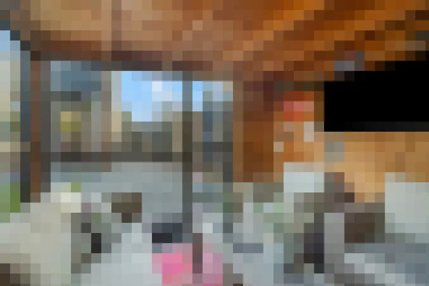 Slangenburg 91 Barneveld thumbnail 61