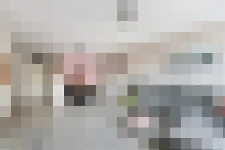 Slangenburg 93 Dordrecht thumbnail 6