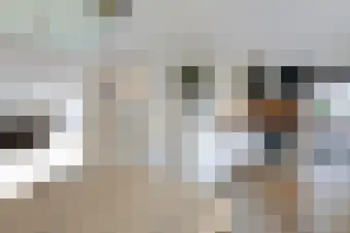Slangenburgallee 5 Duiven thumbnail 12