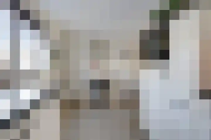 Slangenburgallee 5 Duiven thumbnail 15