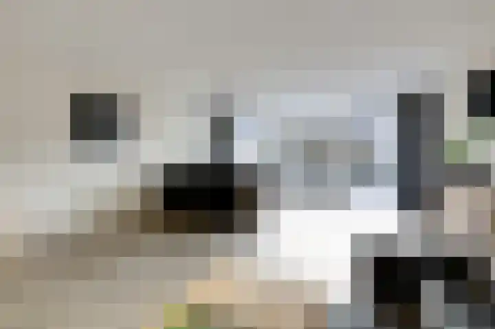 Slangenburgallee 5 Duiven thumbnail 22