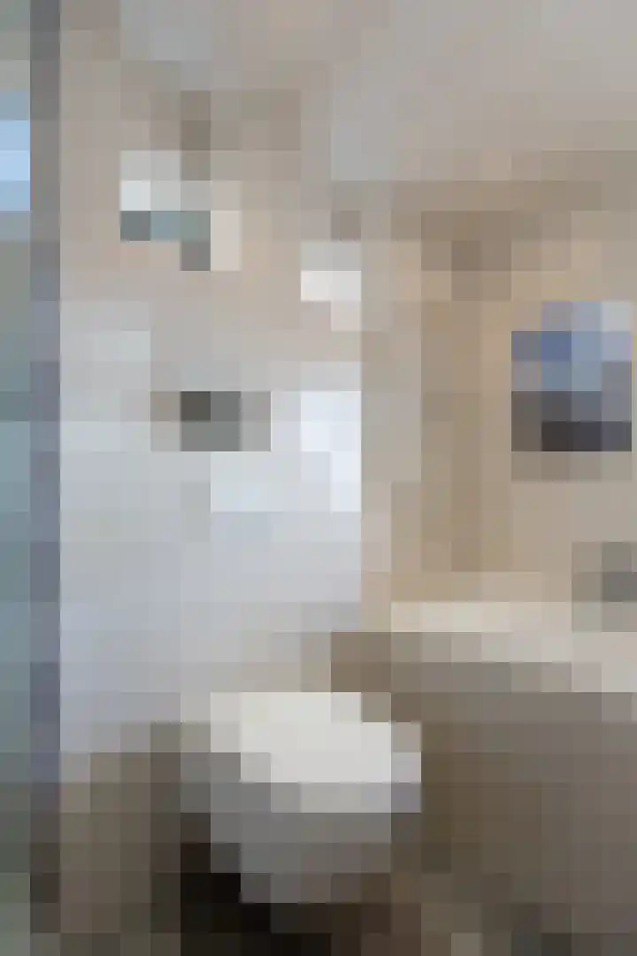 Slangenburgallee 5 Duiven thumbnail 37
