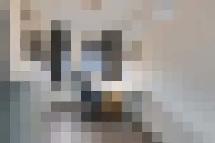 Slangenburgallee 5 Duiven thumbnail 39