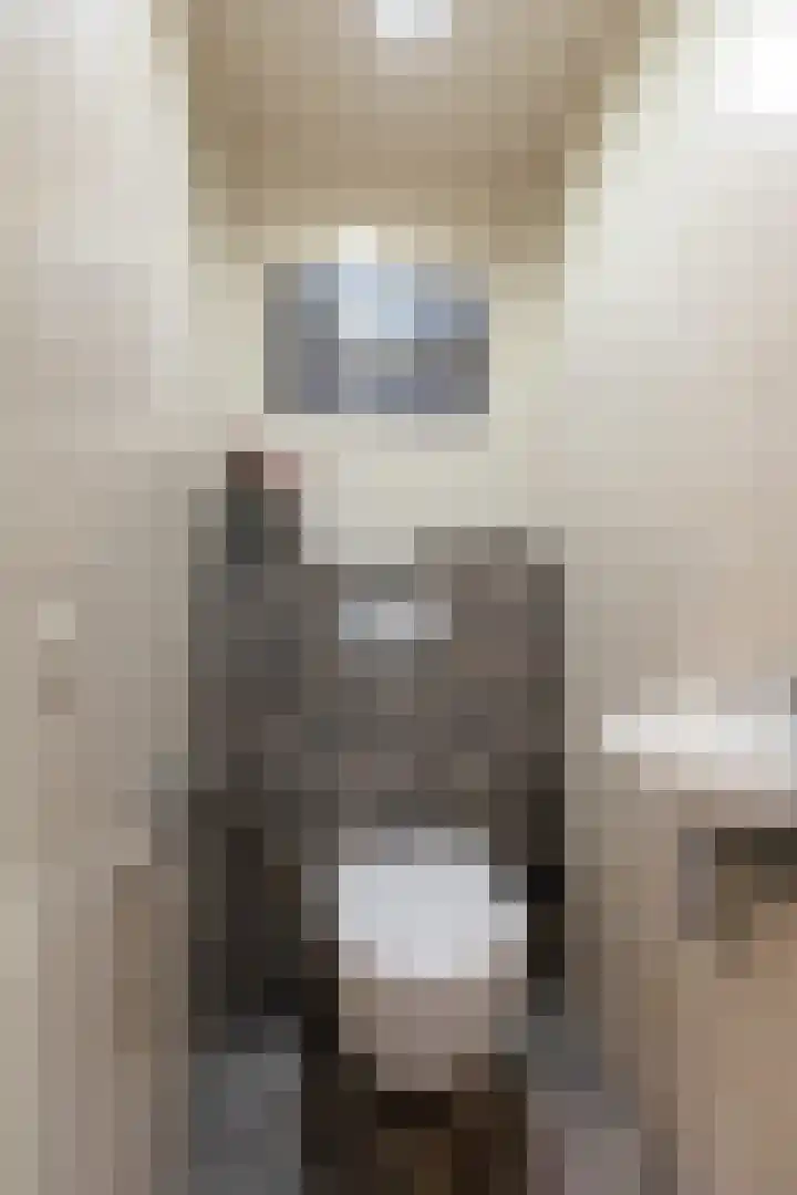 Slangenburgallee 5 Duiven thumbnail 9