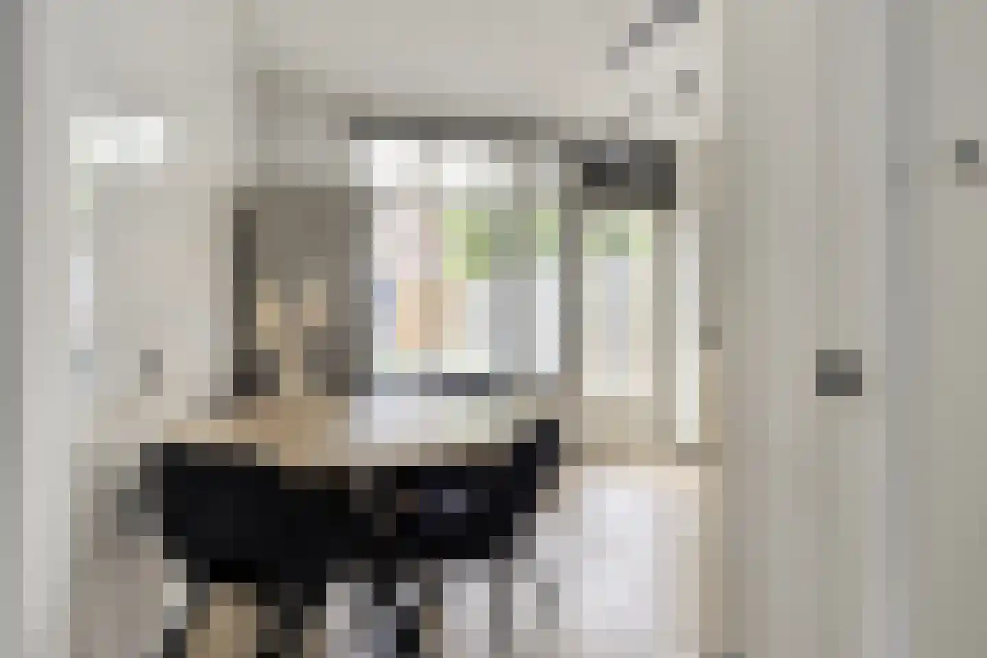 Slangenburgerf 17 Rotterdam thumbnail 20