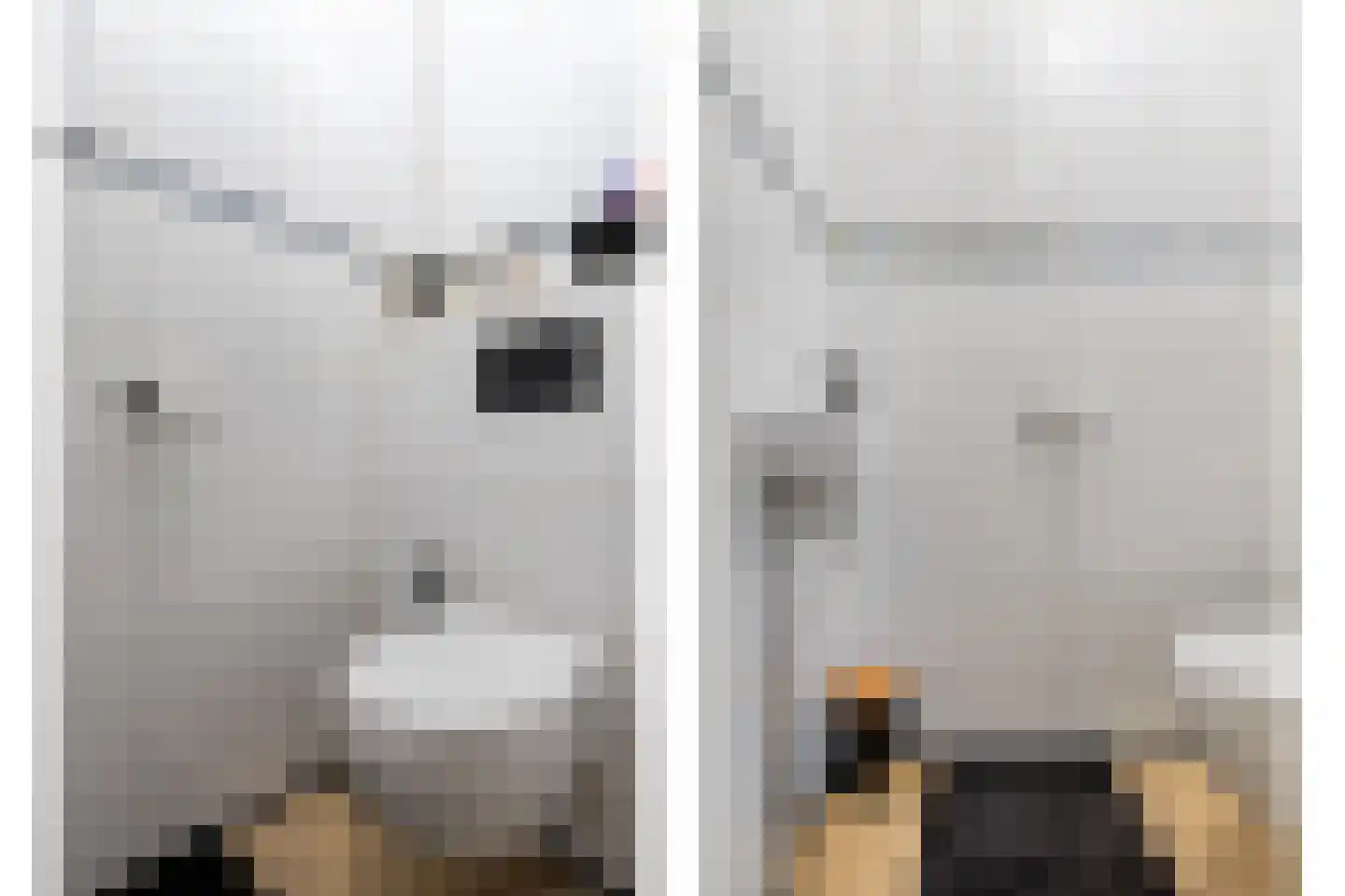Slangenburgerf 17 Rotterdam thumbnail 8