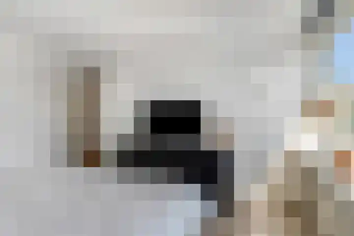 Slangenburgstraat 16 Doornenburg thumbnail 22