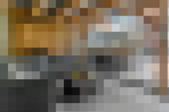 Slangenburgstraat 16 Doornenburg thumbnail 36