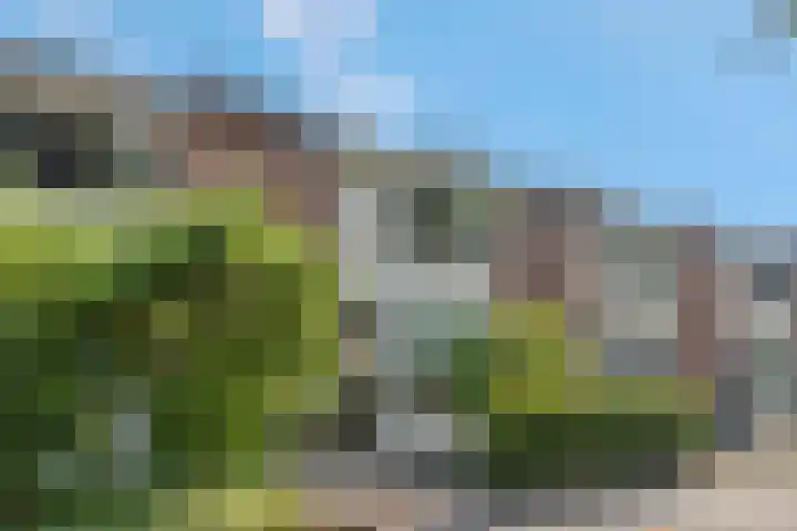 Slangenburgstraat 16 Doornenburg thumbnail 41