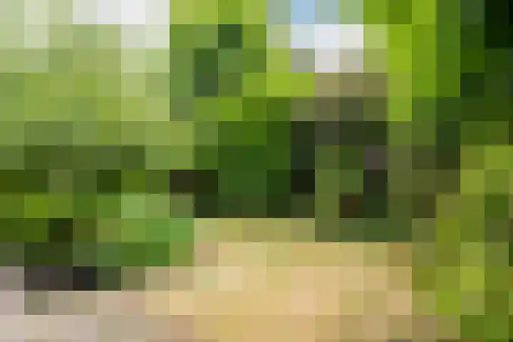 Slangenburgstraat 25 Breda thumbnail 34