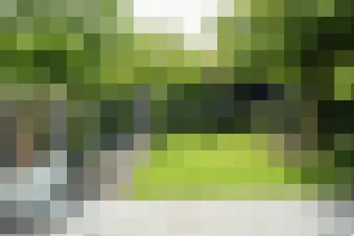 Slangenburgstraat 37 Breda thumbnail 5