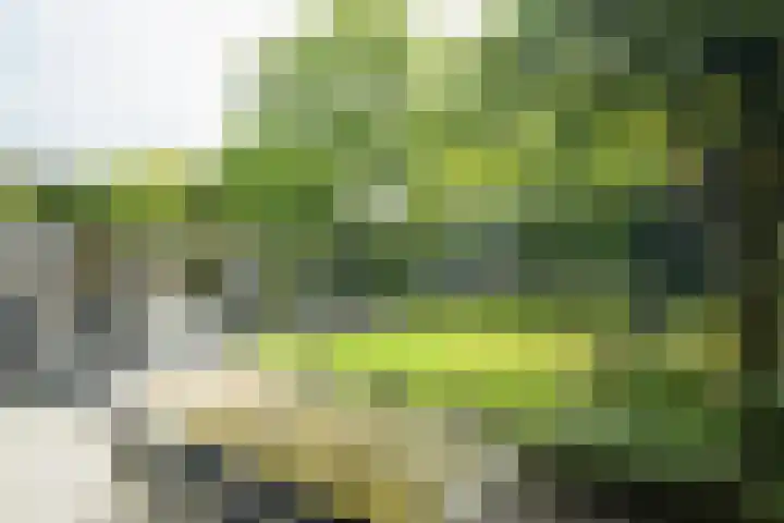 Slangenburgstraat 37 Breda thumbnail 55
