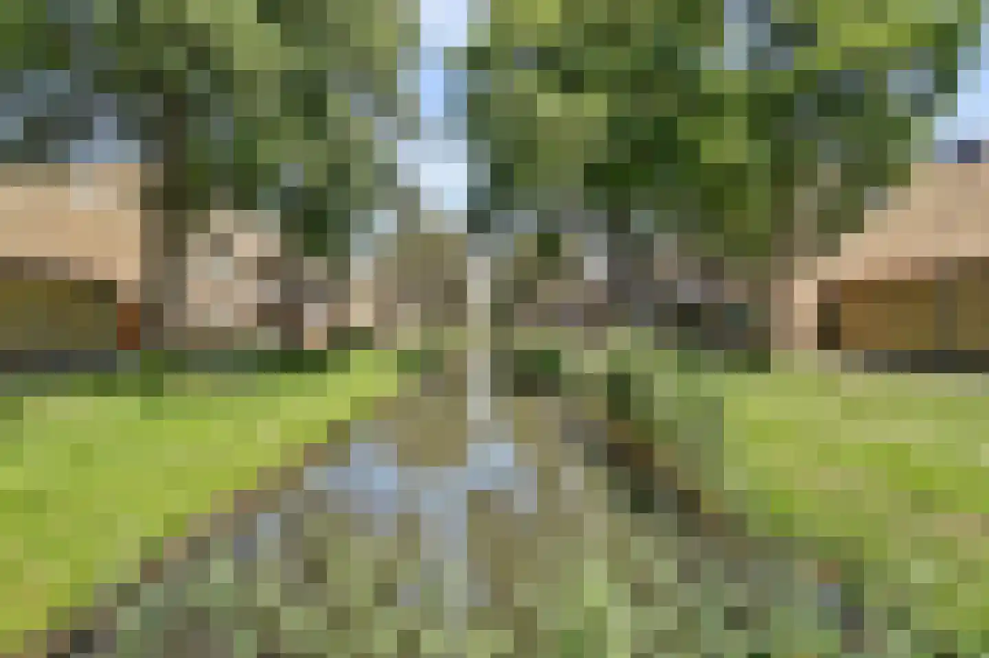 Slangenburgweg 27 Rotterdam thumbnail 31