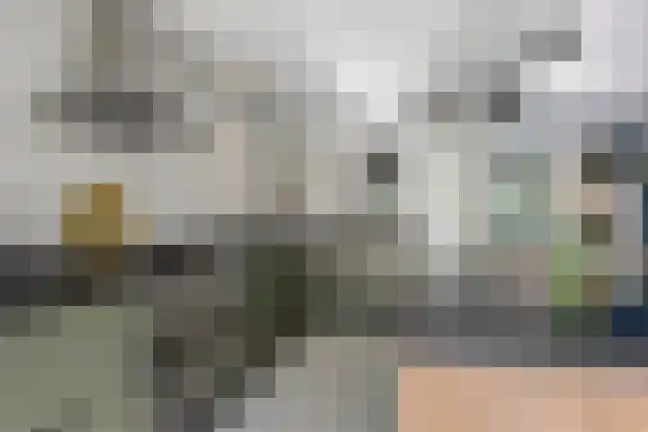 Slangenkruidlaan 28 Haarlem thumbnail 11
