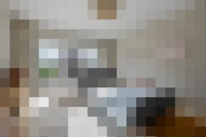 Slangenkruidlaan 28 Haarlem thumbnail 18