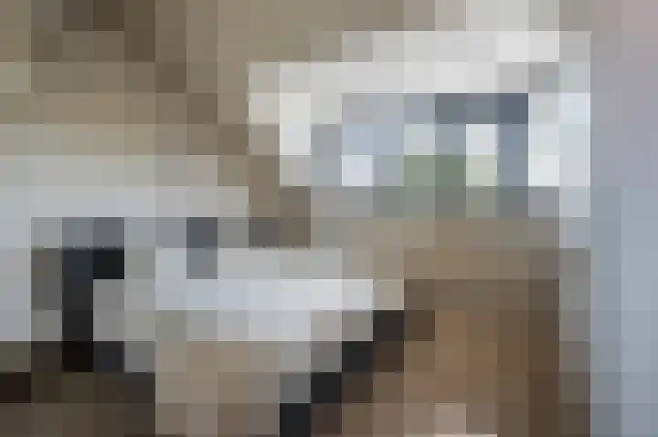 Slangenkruidlaan 28 Haarlem thumbnail 25