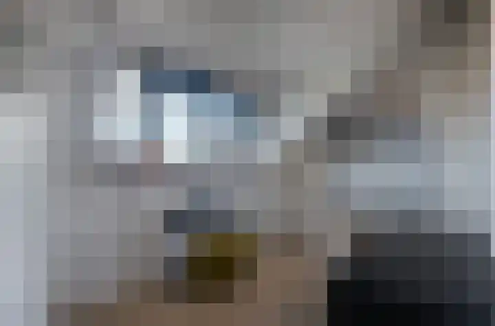 Slangenkruidlaan 28 Haarlem thumbnail 27