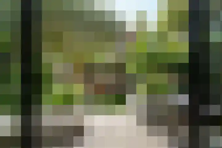 Slangenkruidlaan 28 Haarlem thumbnail 31
