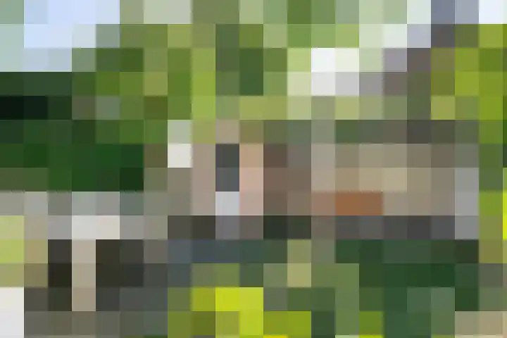 Slangenkruidlaan 28 Haarlem thumbnail 32