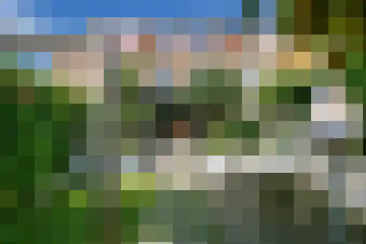 Slangenkruidlaan 28 Haarlem thumbnail 33