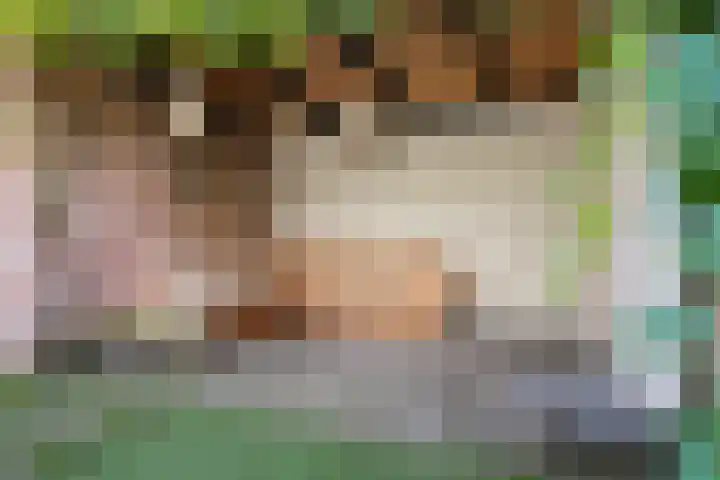 Slangenkruidlaan 28 Haarlem thumbnail 34