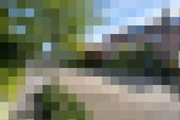 Slangenkruidlaan 28 Haarlem thumbnail 35