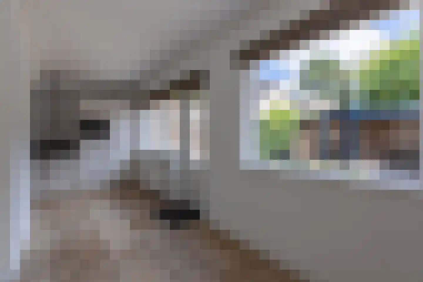 Slangenweg 17 Laren thumbnail 13