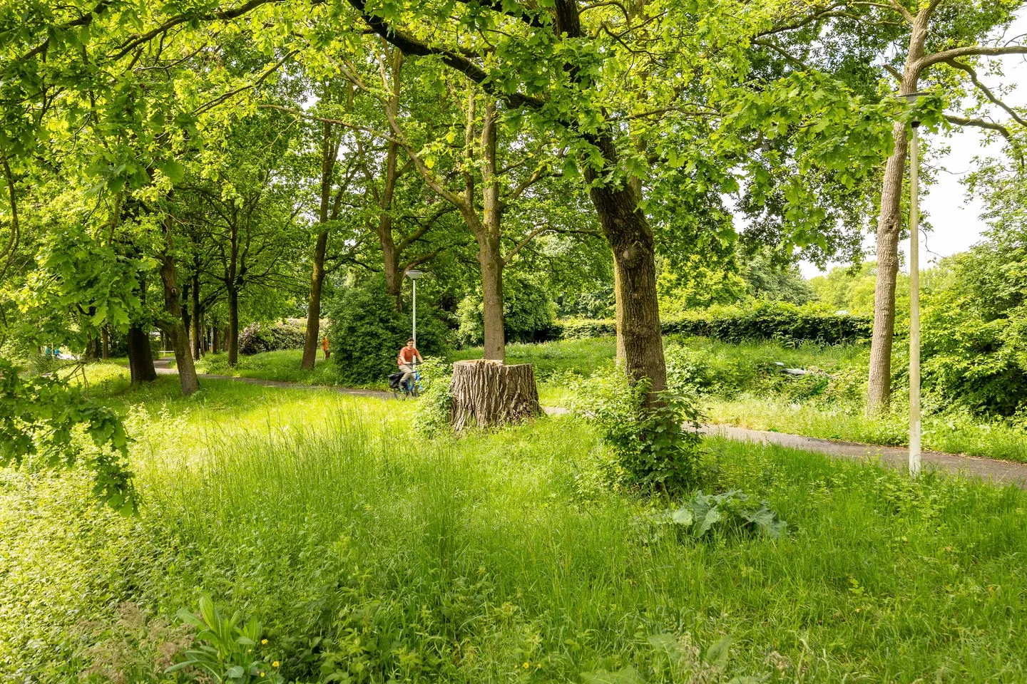 Slangevecht 4 Amersfoort thumbnail 43