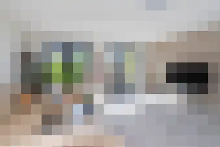 Slanke Waterbies 4 Rijswijk thumbnail 15