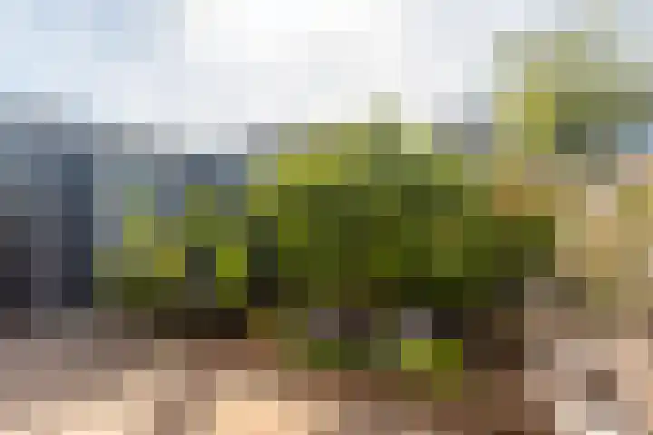 Slanke Waterbies 4 Rijswijk thumbnail 18