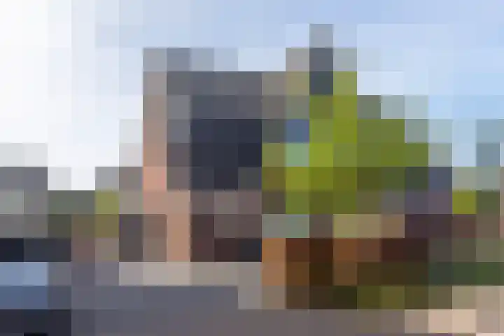 Slanke Waterbies 4 Rijswijk thumbnail 39