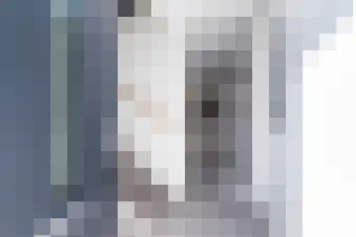 Slanke Waterbies 4 Rijswijk thumbnail 6