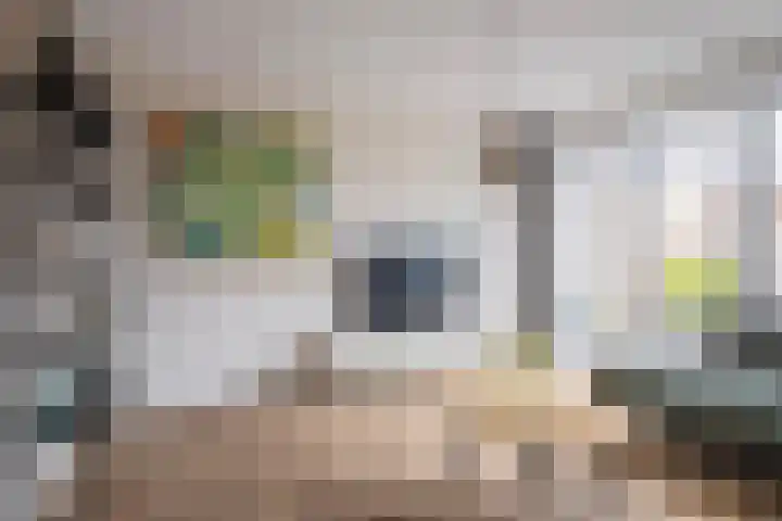 Slaperdijk 17 Arnhem thumbnail 12