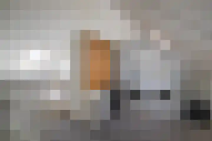 Slaperdijk 17 Arnhem thumbnail 22