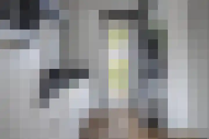 Slaperdijk 17 Arnhem thumbnail 8