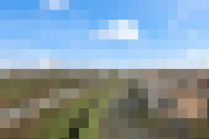 Slaperdijk 29 Leusden thumbnail 36