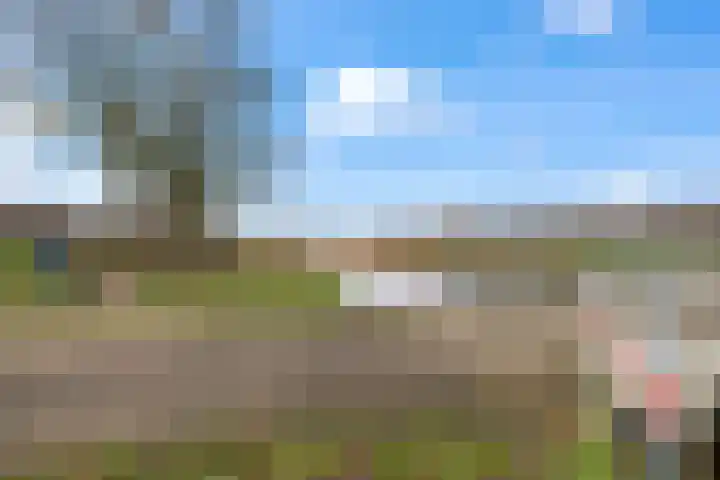 Slaperdijk 29 Leusden thumbnail 69