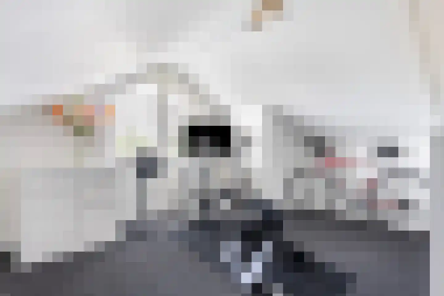 Slaperdijkstraat 26 Zwolle thumbnail 35