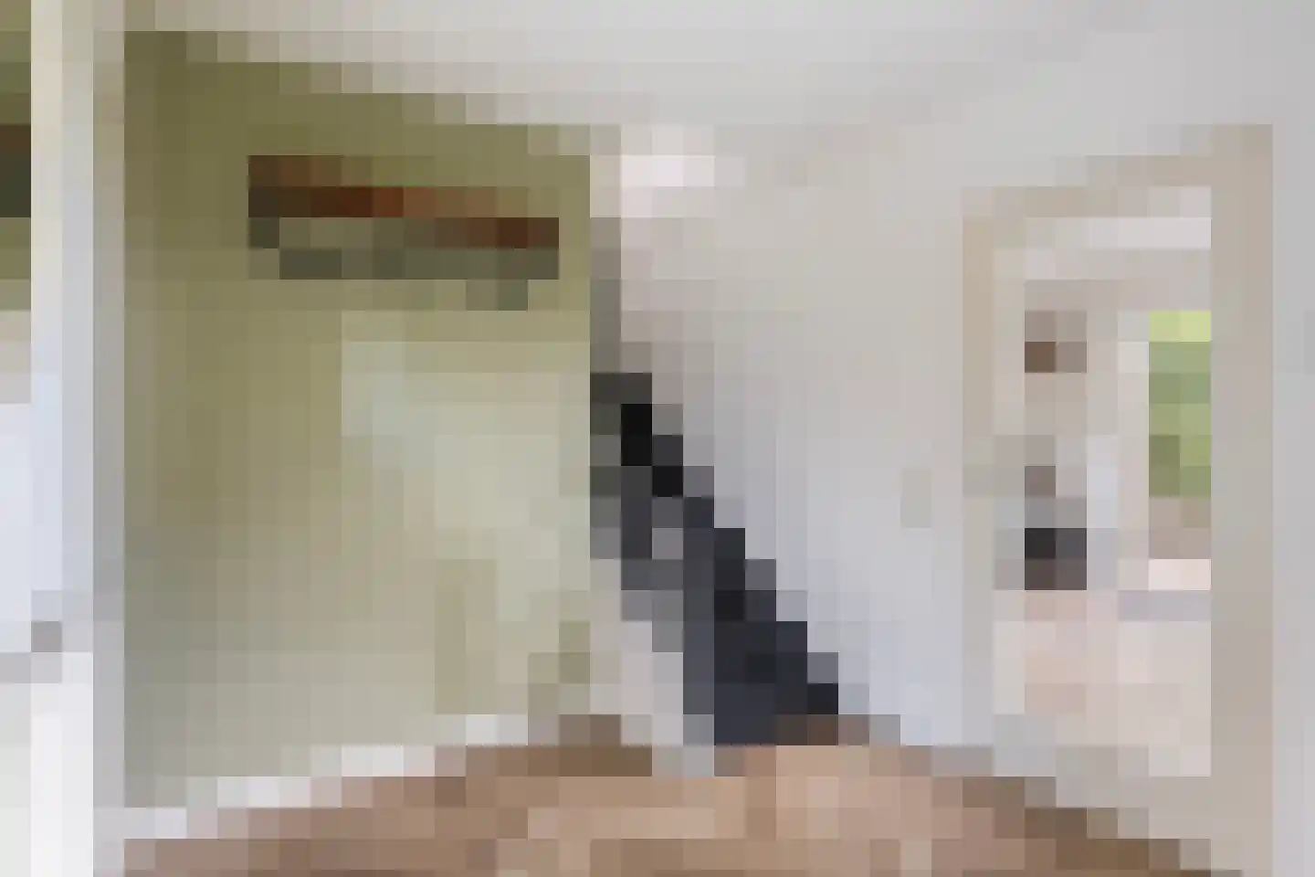 Slaperdijkstraat 26 Zwolle thumbnail 5