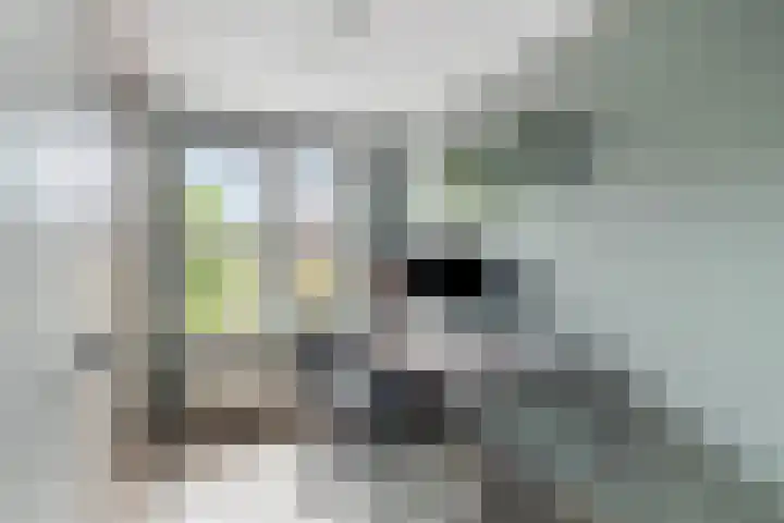 Slaperdijkstraat 30 Zwolle thumbnail 37