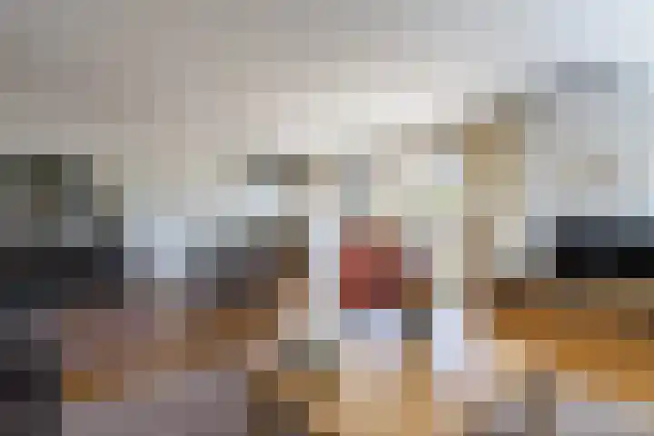 Slaperdijkstraat 32 Zwolle thumbnail 6