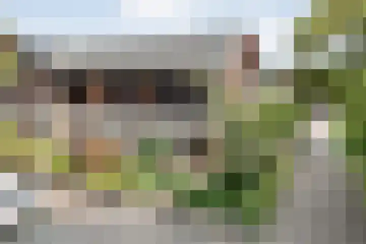 Slaperdijkstraat 34 Zwolle thumbnail 7