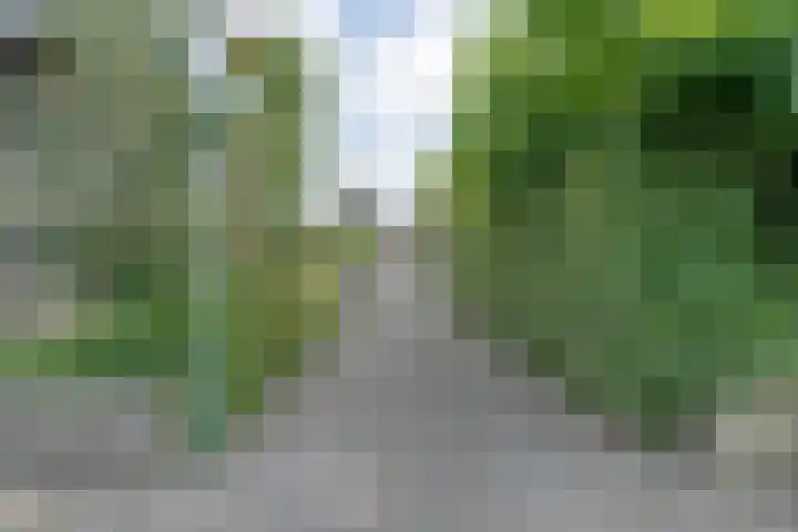 Slaperdijkstraat 34 Zwolle thumbnail 9