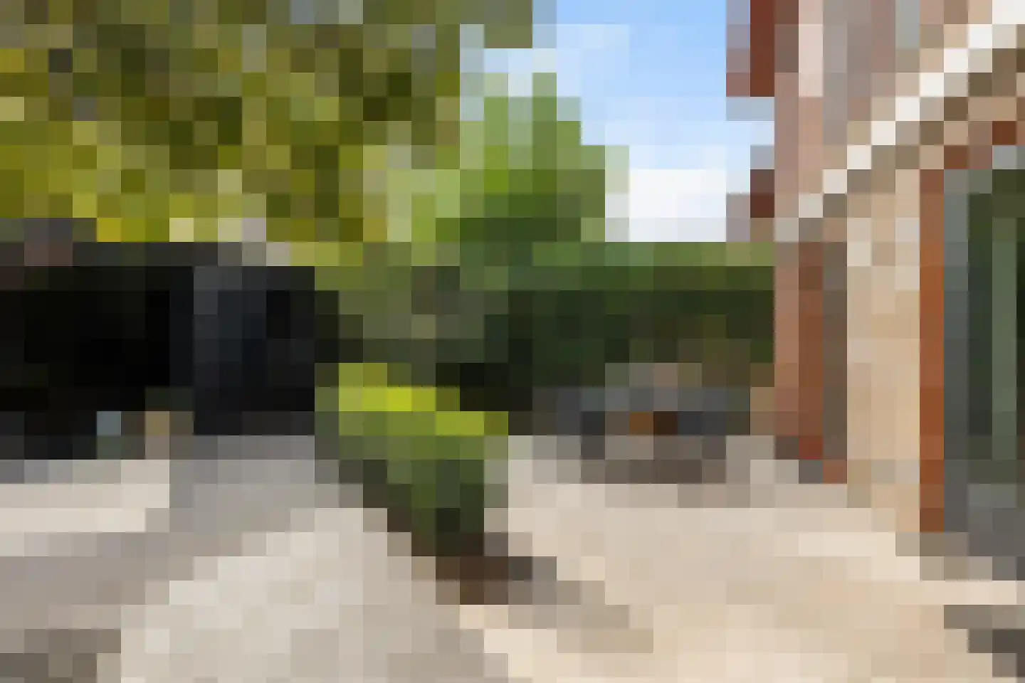 Slaperdijkstraat 44 Zwolle thumbnail 43