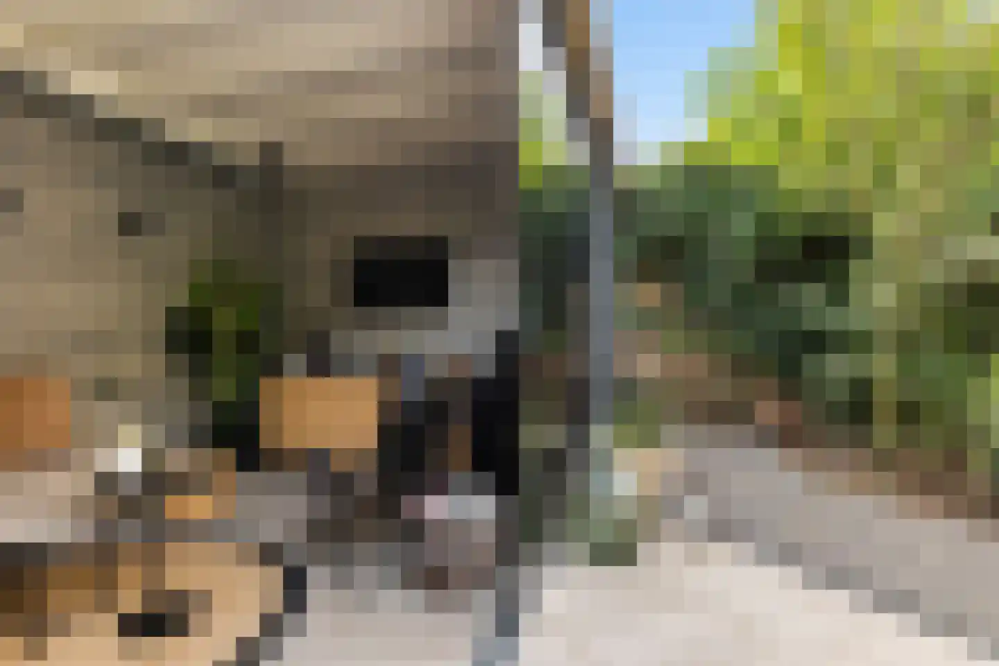 Slaperdijkstraat 44 Zwolle thumbnail 45