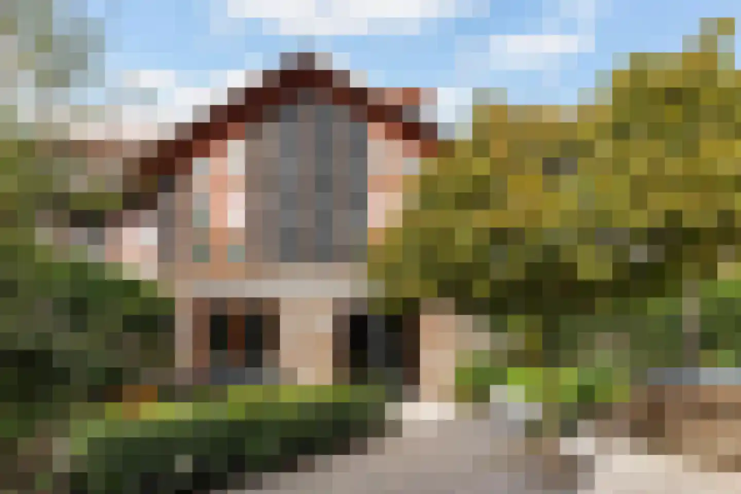 Slaperdijkstraat 44 Zwolle thumbnail 49