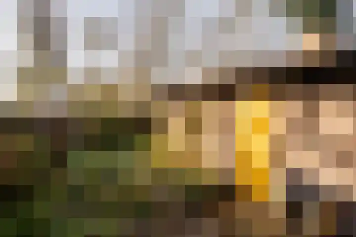 Slaperdijkweg 22 Haarlem thumbnail 21