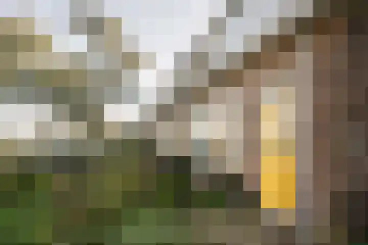 Slaperdijkweg 22 Haarlem thumbnail 5