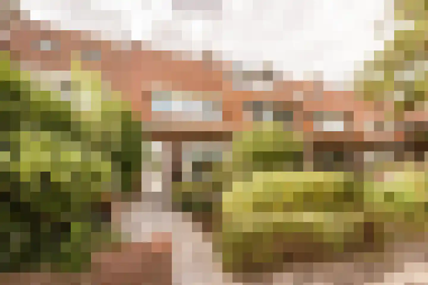 Slaperdijkweg 36 Haarlem thumbnail 55